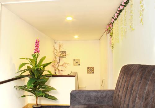 a living room with a chair and a plant at Garden's Aparta hotel in Bogotá