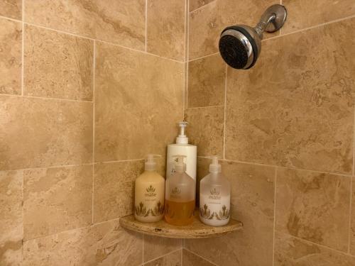 Koupelna v ubytování Private Beachfront Ocean View with Resort Amenities!