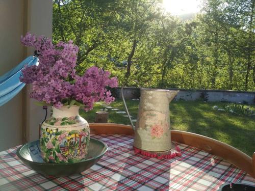 Orma, pet friendly retreat studio