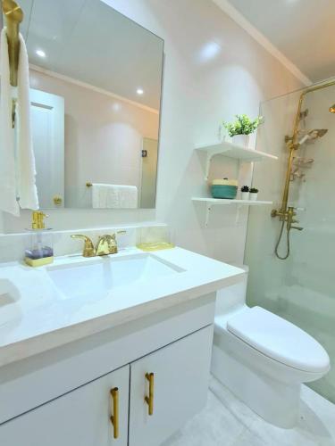 a bathroom with a sink and a toilet and a mirror at Stylish 3BR Condo, Full AC, Wi-Fi in Santo Domingo