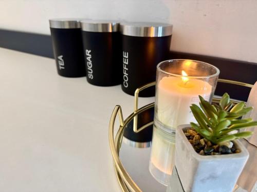 a candle and a potted plant on a table at Comfort in the East in Glasgow