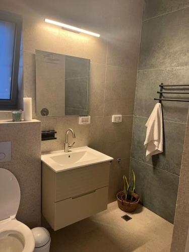 a bathroom with a sink and a toilet and a mirror at צימר בלב הגולן קצרין in Qasrîne