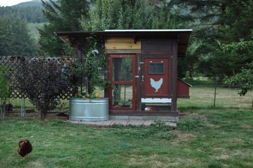 a out house with a chicken in the yard at Moon Mountain Lodging in Packwood