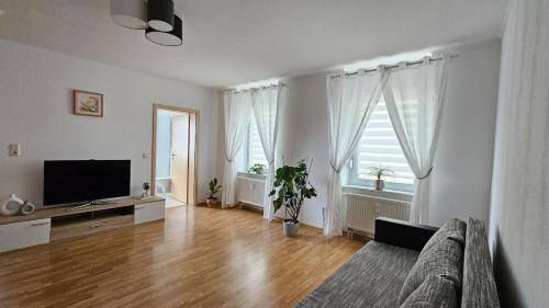 Una sala de estar con un sofá y un televisor de pantalla plana. en Gemütliche zwei Zimmer Wohnung am Rhein, en Weißenthurm