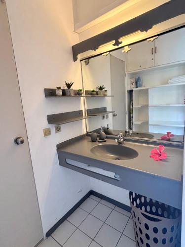 a bathroom with a sink and a mirror at Le Blue Ground Vue Mer in Le Diamant