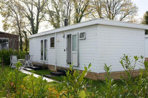 a white tiny house in a yard at Chalet Bosgeluk - close to the woods in Anloo