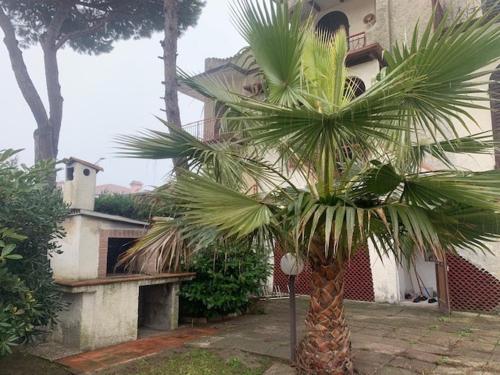 a palm tree in front of a building at Casa con giardino in Lido delle Nazioni