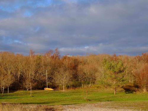 a grassy field with trees and a cloudy sky at 8 person holiday home in Ebeltoft in Ebeltoft