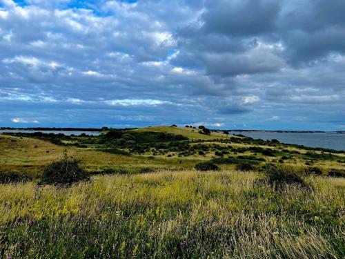 a field of grass with the ocean in the background at 4 person holiday home in Martofte-By Traum in Nordskov