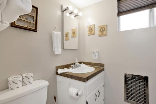 SugarloafにあるSweet Cabin Home Gateway at Big Bear - Minutes to Local Activitiesの洗面台とトイレを備えた白いバスルーム