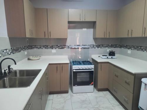 a kitchen with a sink and a stove top oven at Nos Soño in Upper Prince's Quarter