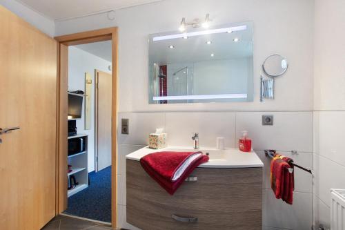 une salle de bain avec un lavabo et un miroir dans l'établissement Haus Monika, à Todtmoos