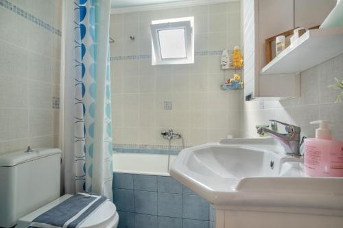 a bathroom with a sink and a toilet at Emis house krioneri in Lapanayoí