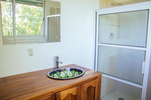 a bathroom with a sink and a shower at casa wow in Puerto Ángel