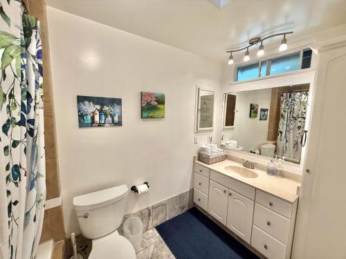 a white bathroom with a toilet and a sink at Redwood View Suite 326SQFT Private Entrance and Bath in Scotts Valley