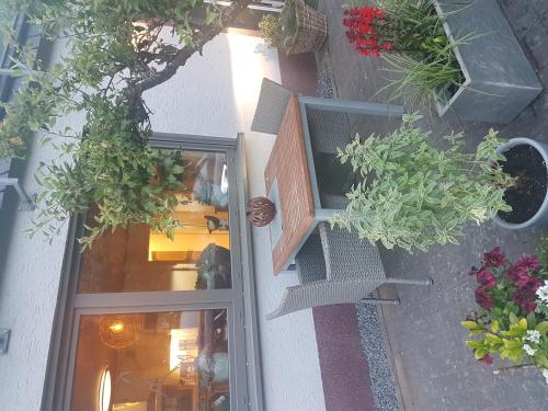 an overhead view of a door with potted plants on it at Eifelraum-Relaxwohnung in Oberbettingen