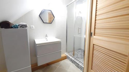 a bathroom with a shower and a sink and a mirror at Chambres D'hôtes Le Petit Puits in Cheverny
