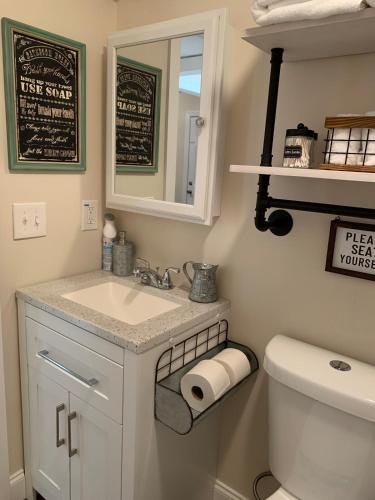 a bathroom with a sink and a toilet and a mirror at Little Sunshine in Ocala