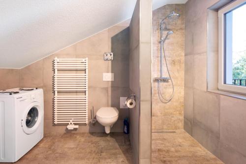 a bathroom with a toilet and a shower at Kaiserchalet in Höchenschwand