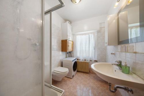 une salle de bain avec toilettes, lavabo et douche dans l'établissement Appartamenti I Profumi del Bosco, à San Pietro di Cadore
