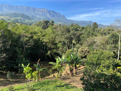 una vista de un bosque con una montaña en el fondo en Finca Buenavista Sasaima, en Sasaima