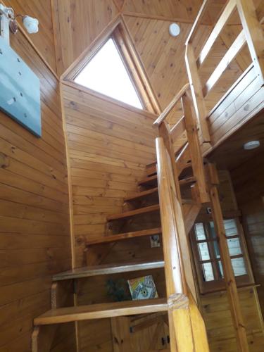 a wooden staircase in a cabin with a window at Cabañas domo La Morada del Lago in Tolhuin