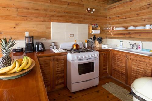 a kitchen with a stove and a plate of bananas at SeaScape on Heavenly Bay in Castara