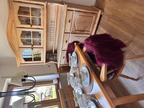 a couple of animals laying on top of a washing machine at Schöne große Wohnung - Top Lage in Ravensburg