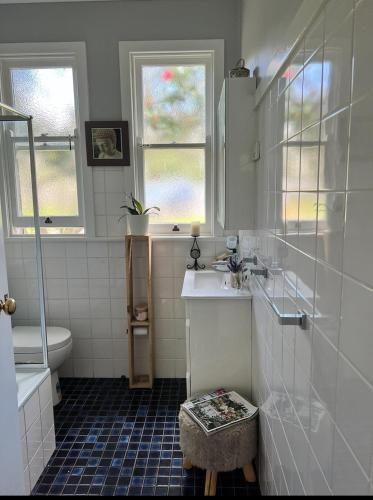 a bathroom with a sink and a shower and a toilet at Couple retreat, pet friendly Bilpin in Bilpin