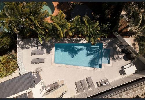 an overhead view of a swimming pool with chairs and palm trees at Myuna Holiday Apartments in Noosa Heads