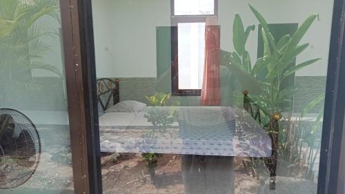 Fotografie z fotogalerie ubytování Guest House Monika Labuan Bajo v destinaci Komodo Labuan Bajo Airport