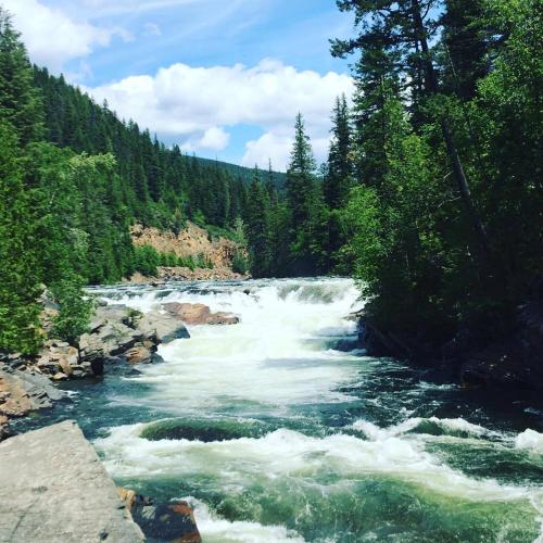 a river with white water rapids in a forest at Evergreen Motel in Libby