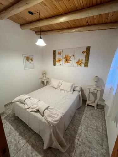 ein Schlafzimmer mit einem großen Bett in einem Zimmer in der Unterkunft Complejo San isidro in San Rafael
