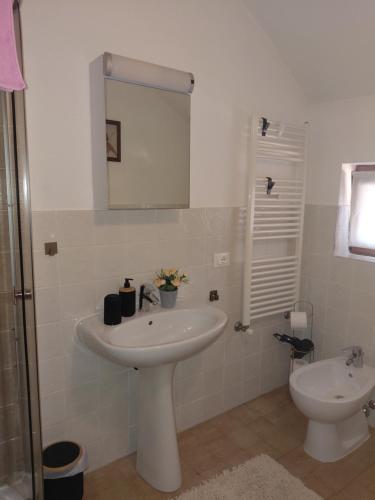 ein weißes Badezimmer mit Waschbecken und Toilette in der Unterkunft Casa Maria in Cincu