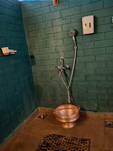 a bathroom with a copper toilet in a green wall at Riyasatkar Heritage Resort in Khamshet