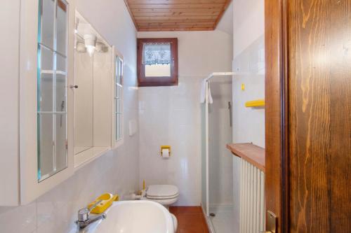 a bathroom with a sink and a toilet at La Baita Verde in Motta