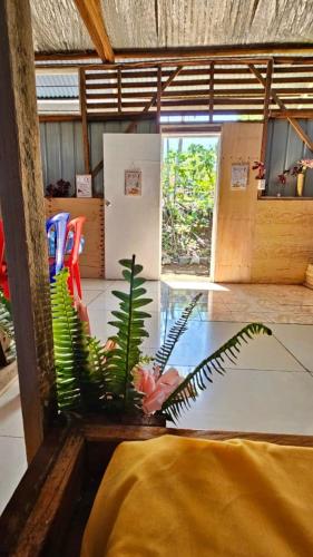 a view of a room with a plant and chairs at Kelly's Mountain Honey Homestay in Goroka