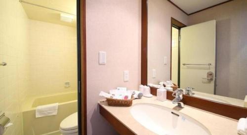 a bathroom with a sink and a toilet and a mirror at Hotel Harvest Tateshina in Tateshina