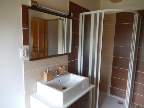 a bathroom with a white sink and a shower at Apartment U Lochů in Kňovičky