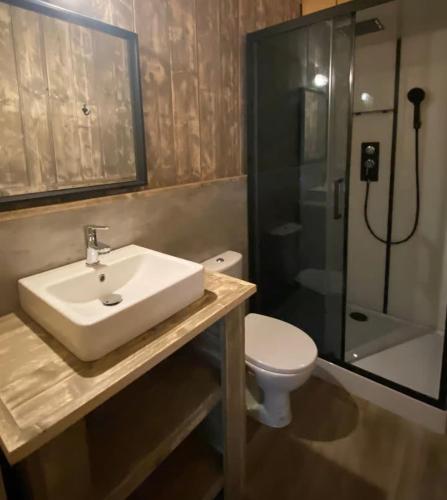 a bathroom with a sink and a toilet and a shower at Camping Le Gallo Romain in Barbières