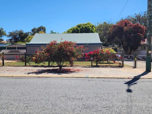a building with a tree and flowers in front of a street at Bottlebrush Retreat Geraldton in Geraldton
