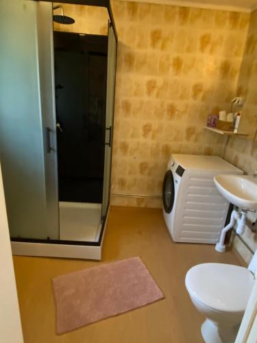 a bathroom with a shower and a toilet and a sink at Private Villa Suite with Independent Entrance in Täby