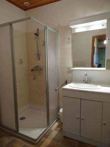 a bathroom with a shower and a sink at Gîte de Goutrens in Goutrens