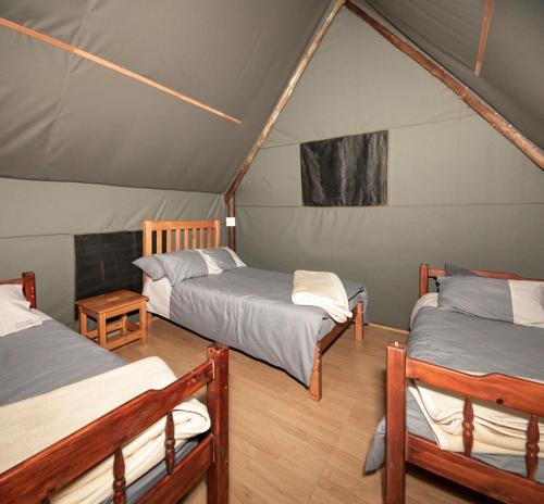 a room with three beds in a tent at Indabushe Eco Lodge in Schoemanskloof