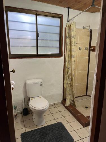a bathroom with a toilet and a shower at Enchanted Forest Cottage Escape! in Hogsback