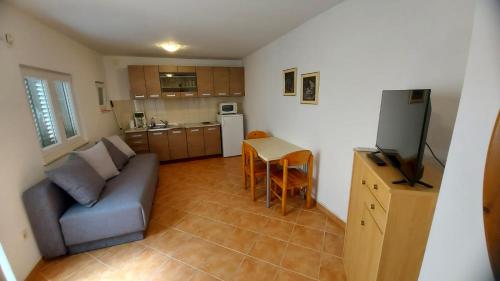 Apartment Obrovski