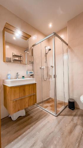 a bathroom with a shower and a sink at Sylpaulerhof-Zimmer Deluxe in Sankt Michael im Lungau
