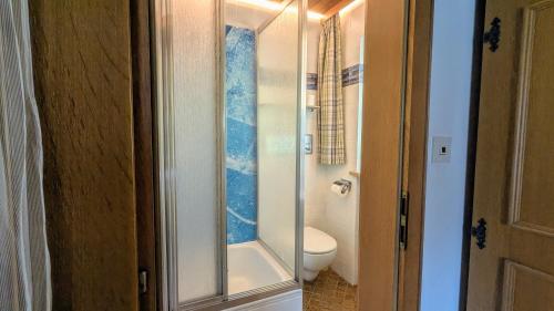 Koupelna v ubytování Ferienwohnung Oberrißglück