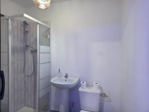 a bathroom with a sink and a toilet and a shower at Luci's House B in São Jorge
