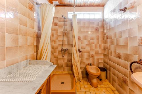 a bathroom with a shower and a toilet and a sink at Blanche Neige Mimizan in Mimizan